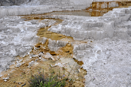 Minerva Terraces