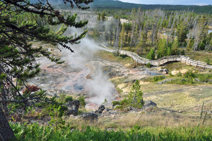 steam vents