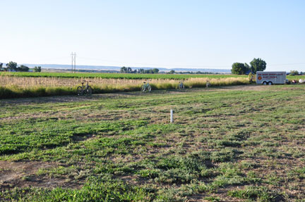 fields