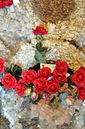 a rose for Brian Lee Duquette