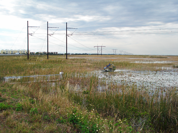 An Airboat in the Everglades