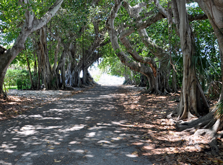 the road to the beach