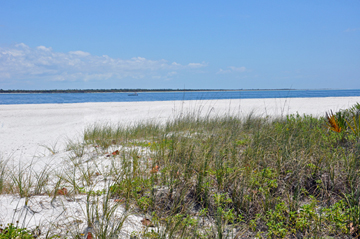 the beach