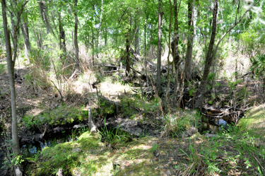 photo from the little bridge