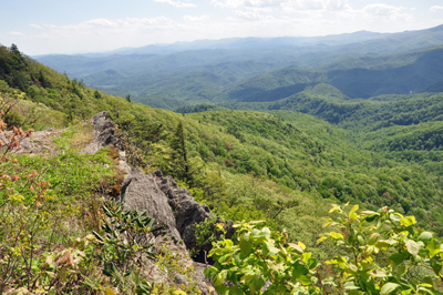 view from The Blowing Rock