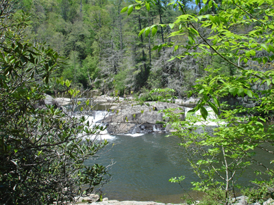 view of the falls through the woods