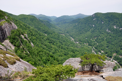 view from Exclamation Point