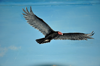 painting of a bird
