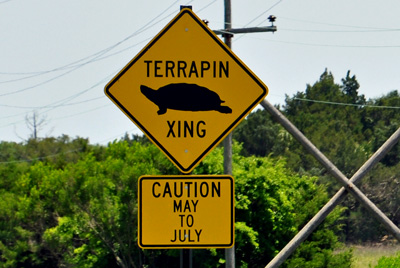 sign - Terrapin Crossing
