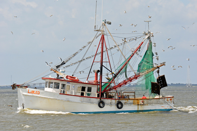 Lots of birds flying around this fishing ship