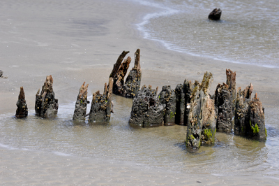 water on the beach