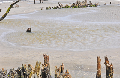 water on the beach