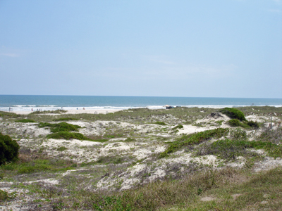 dunes and ocean