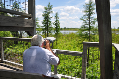 Lee checks out the view of the area.