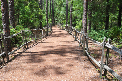 the easy, short walk