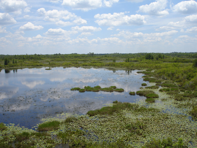 view of the area.
