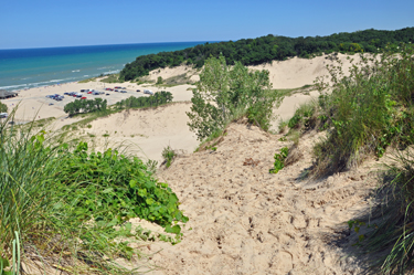 dune grass and lake Michigan