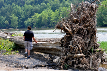 Alex investigating the next section of the Cumberland River