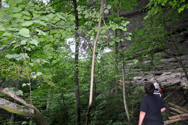 the opening of the Natural Arch