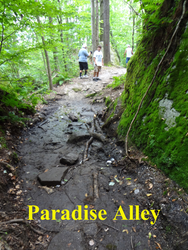 Paradise Alley at Panama Rocks