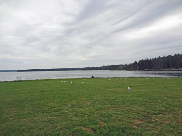 the two RV Gypsies have a picnic lunch