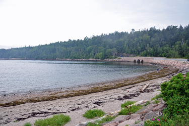 View on the left side of the road