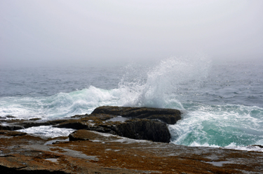 the pounding surf.