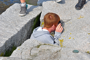 adventuresome boy