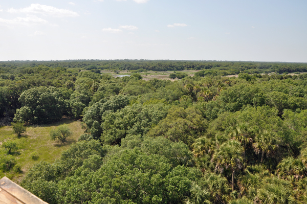 vew from 2nd tower