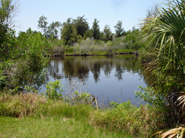 the campground has its own island