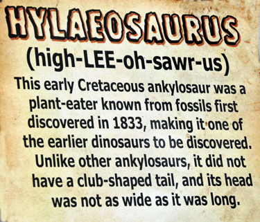 Hylaeosaurus at Dinosaur World