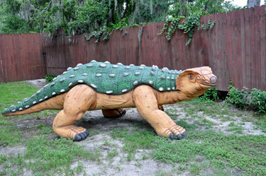 Silvisaurus at Dinosaur World