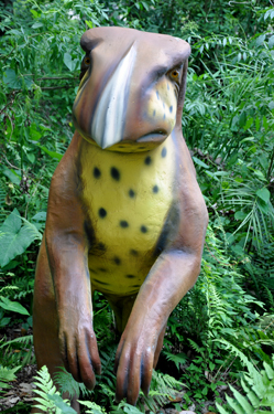 Psittacosaurus at Dinosaur World