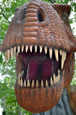 Tyrannosaurus Rex At Dinosaur World