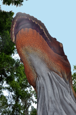 Saichania at Dinosaur World