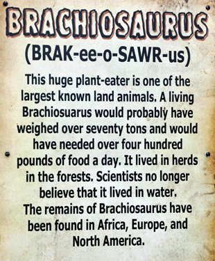 Brachiosaurus at Dinosaur World