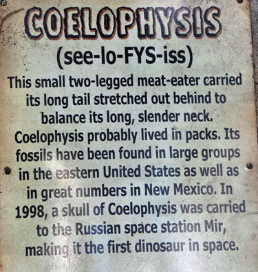 Coelophysus at Dinosaur World