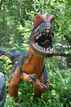 Dilophasaurus at Dinosaur World