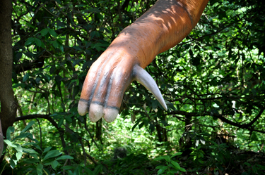 Iguanodon at Dinosaur World