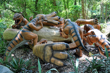 Deinonychus on Deinonychus Island