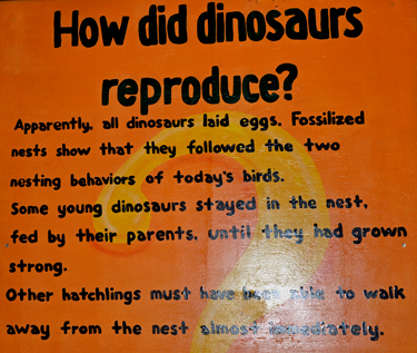 museum sign