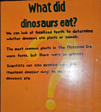 museum sign