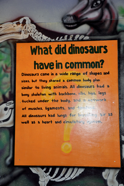museum sign