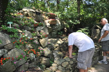 checking our the flowers