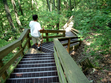 some of the steps at Cloudland Canyon State Park