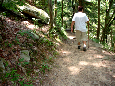 Alex on the trail