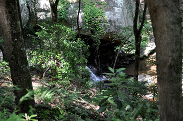 a mini cascade of water along the trail 