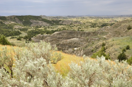 Theodore Roosevelt National Park in North Dakota