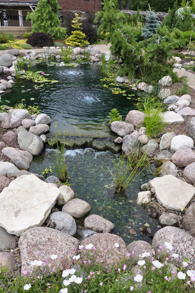 the Chinese Garden