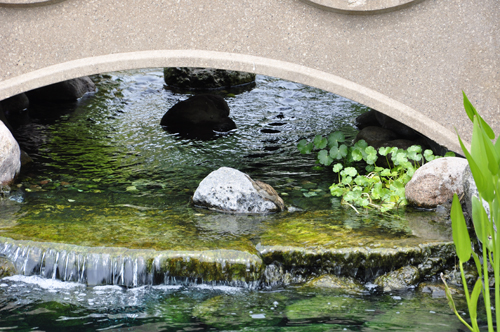 a pond, bridge, and a bird on the rock